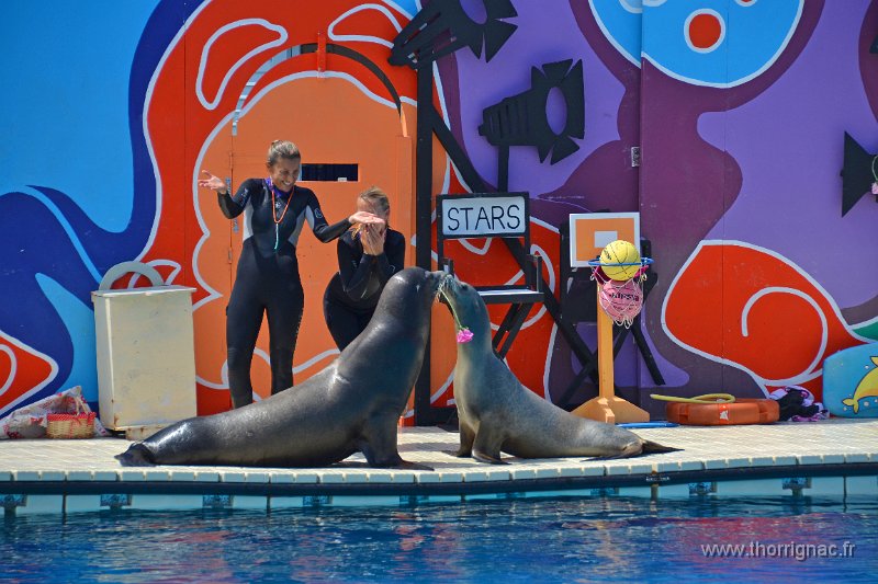 Marineland aout 2014 64.JPG - Marineland - Parc d'attractions aquatiques - Antibes - Août 2014